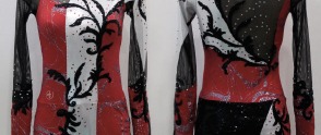 Body da competizione realizzati da Luca Cristofori